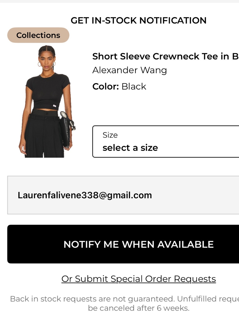 Alexander Wang Tee M